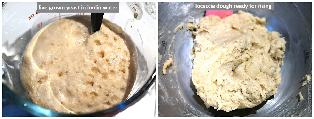 The live yeast growing in the inulin and water mixture, and the keto focaccia dough ready to start rising.