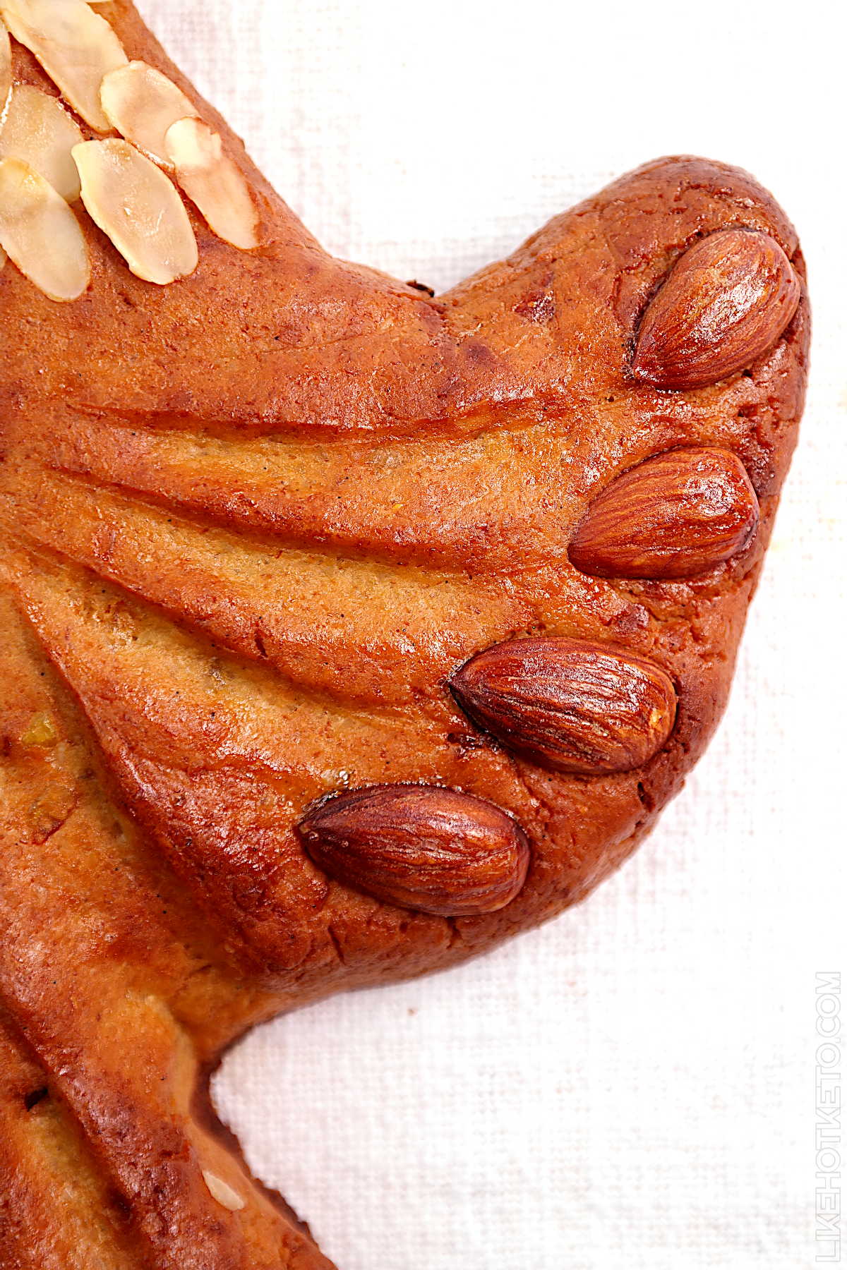 Keto colomba Italian Easter bread, detail of the wing shaped with almonds.