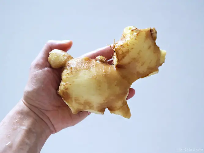 A piece of ginger root resembling a cat.