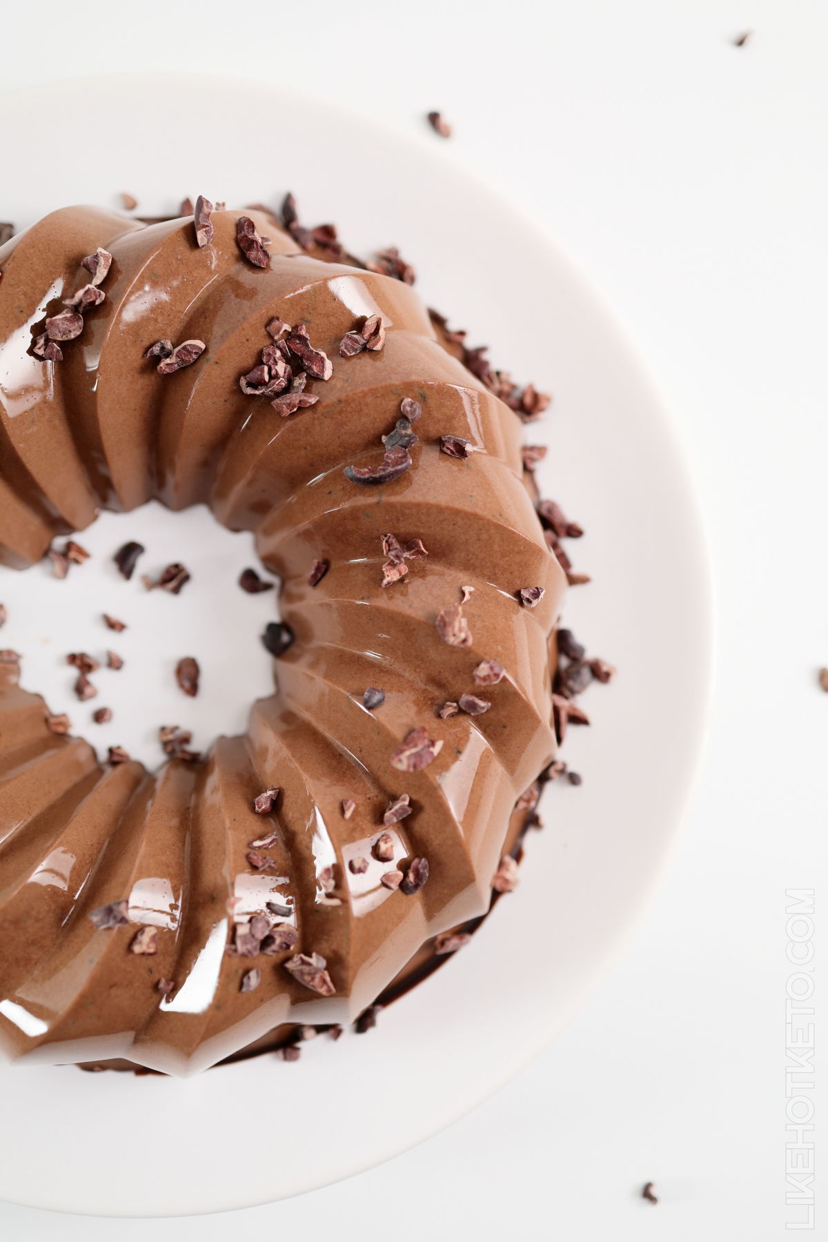 Sugar-free chocolate protein jello mold served with cacao nibs.
