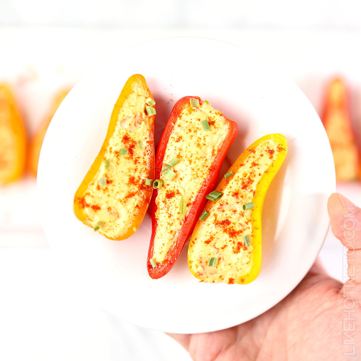 Hand holding a small plate with three spicy cheese stuffed mini peppers.