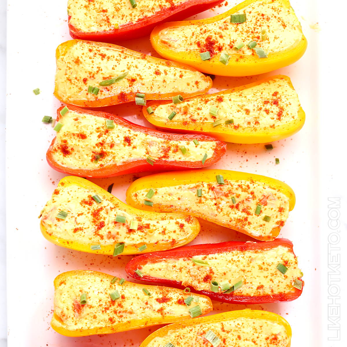 Mini sweet bell peppers stuffed with spicy cream cheese mix lined up on a white plate.