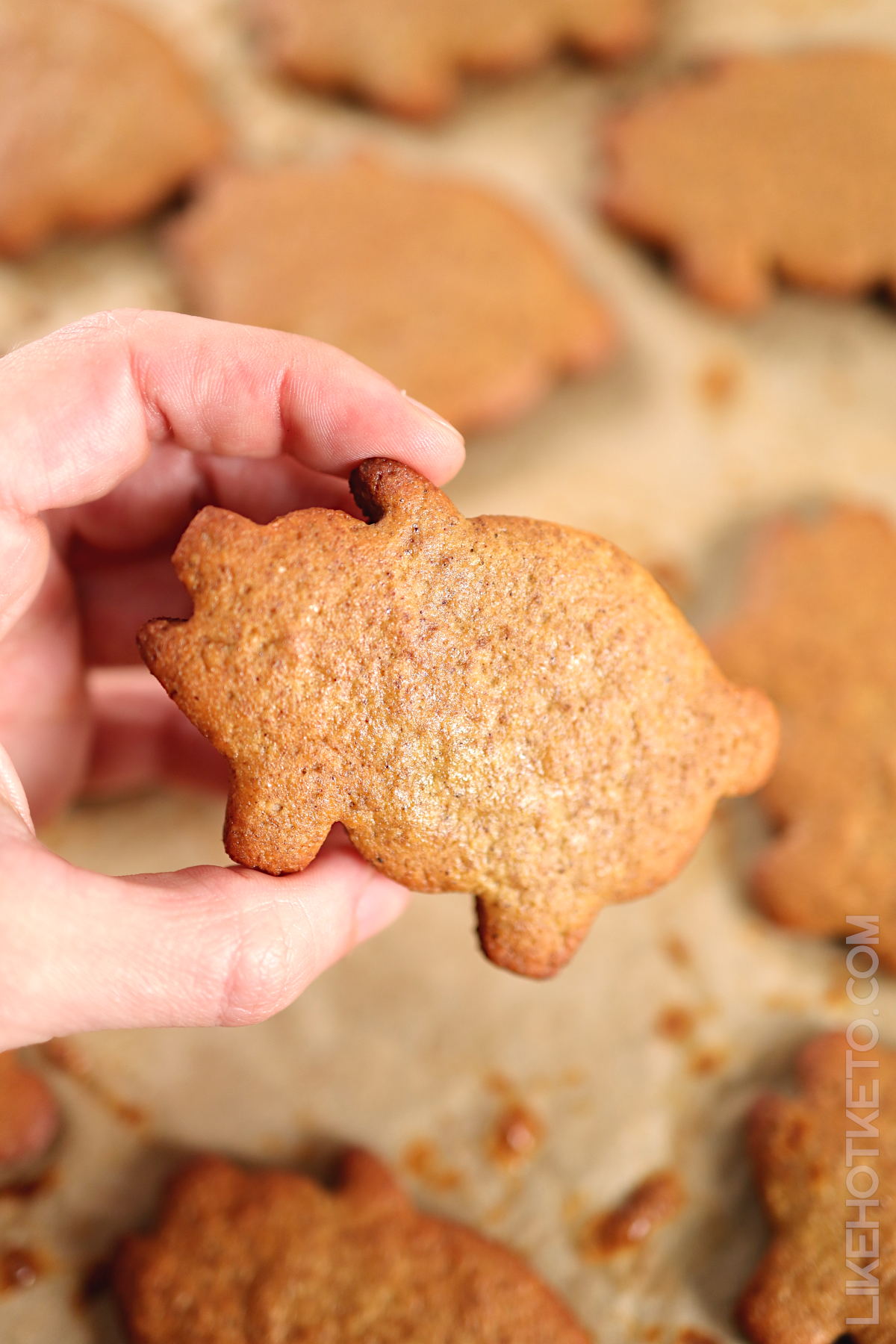 A hand holding a pig shaped marranito cookie.